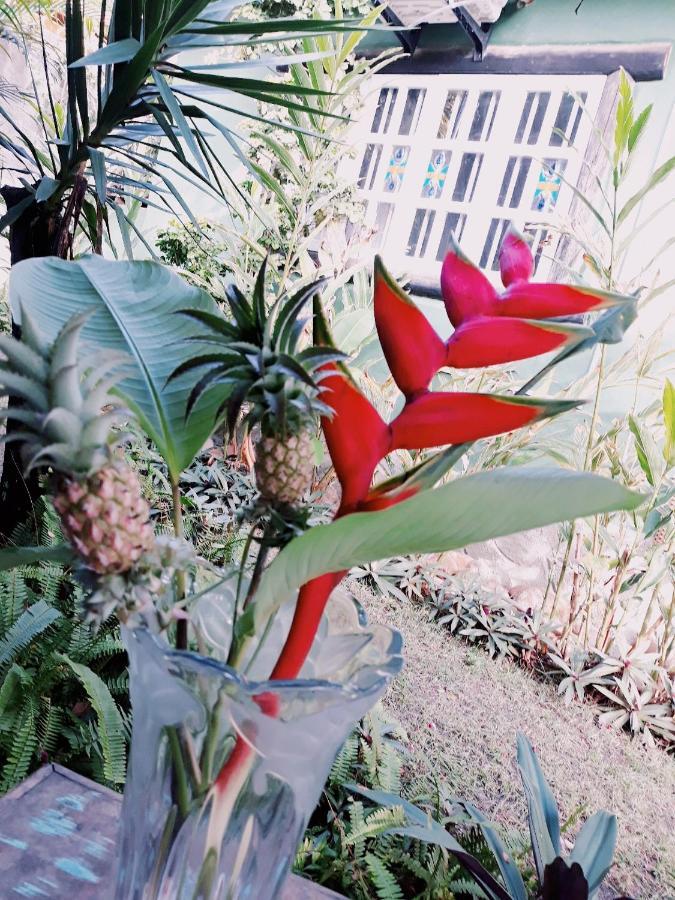 Chales De Charme Porto Seguro Eksteriør bilde